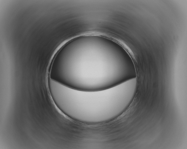 X0000112751484200908201003