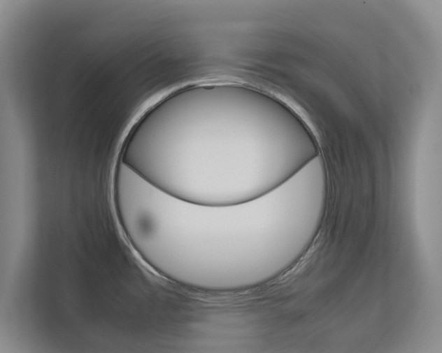 X0000112751485200908201003
