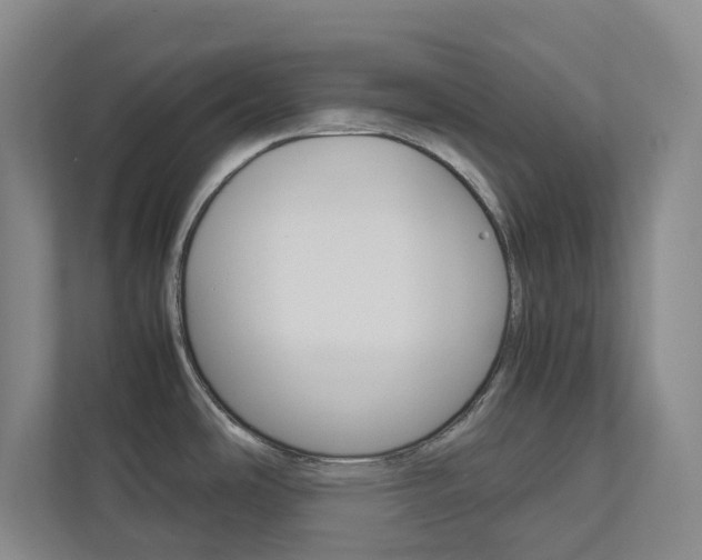 X0000112751486200908201003
