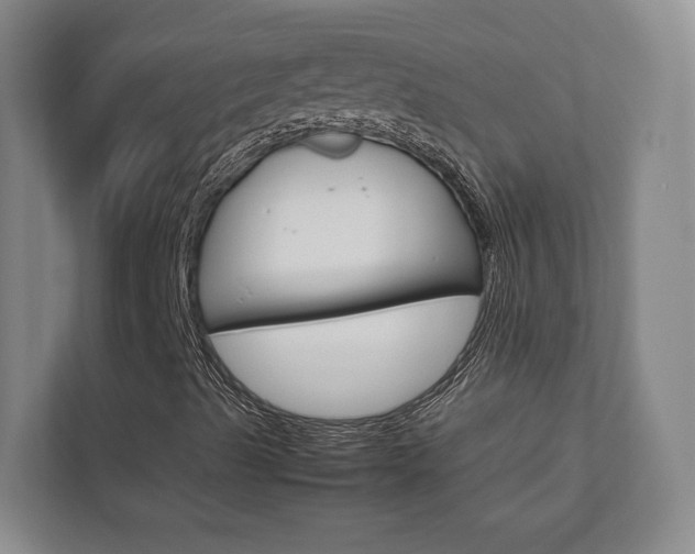 X0000112751489200908201003