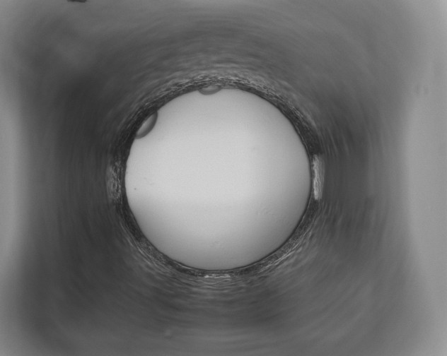X0000112751491200908201003