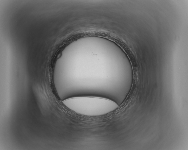 X0000112751493200908201003