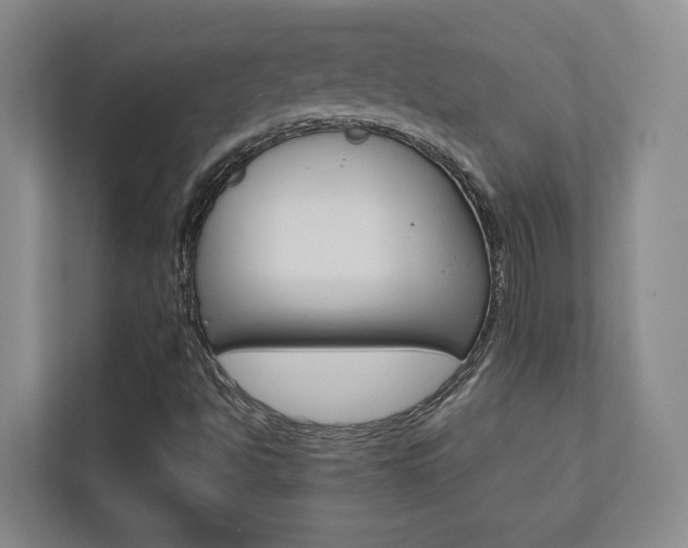 X0000112751494200908201003