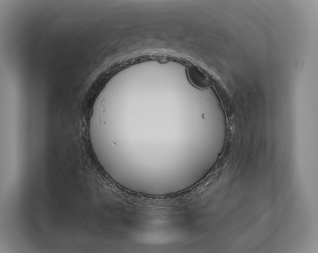 X0000112751495200908201003