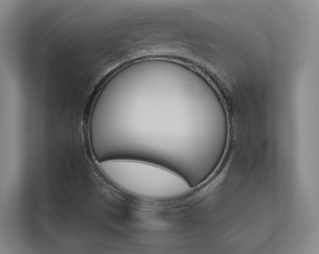 X0000112751497200908201003