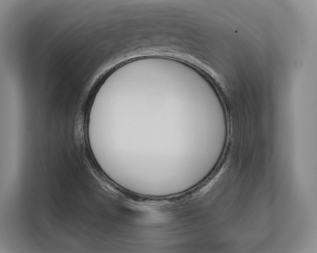 X0000112751498200908201003