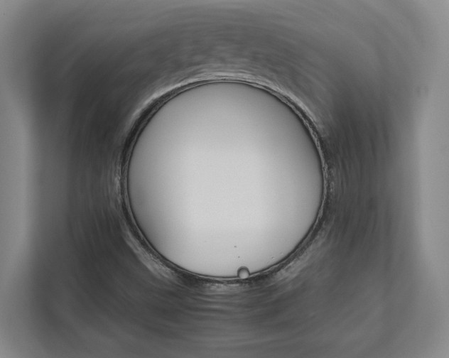 X0000112751499200908201003