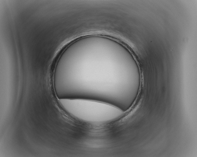 X0000112751501200908201003