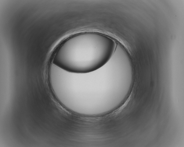 X0000112751502200908201003