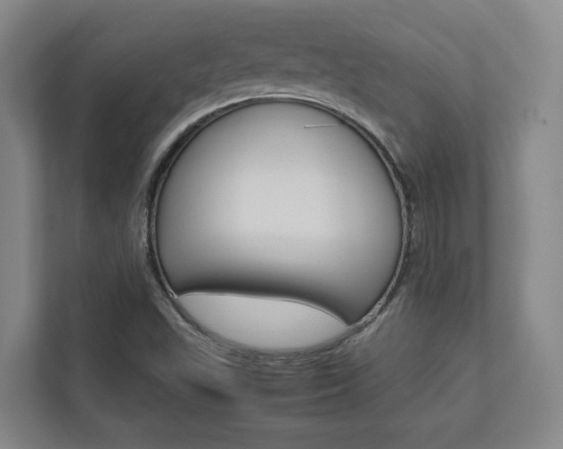 X0000112751503200908201003