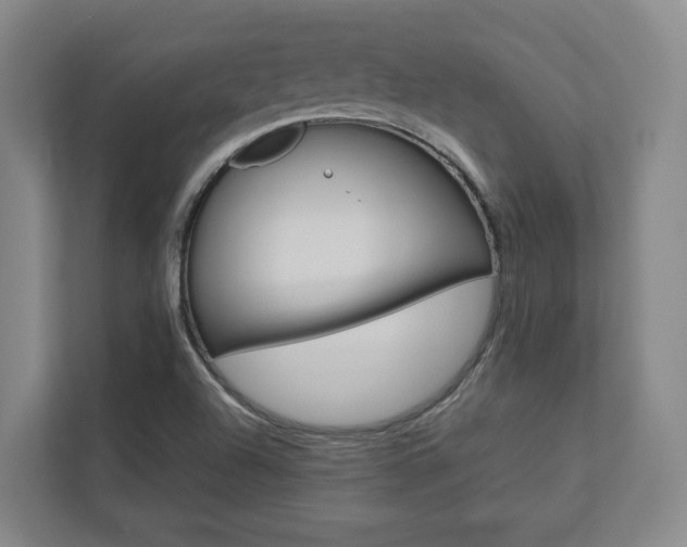 X0000112751504200908201003