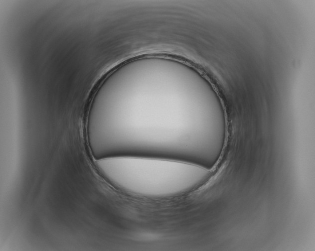 X0000112751505200908201003