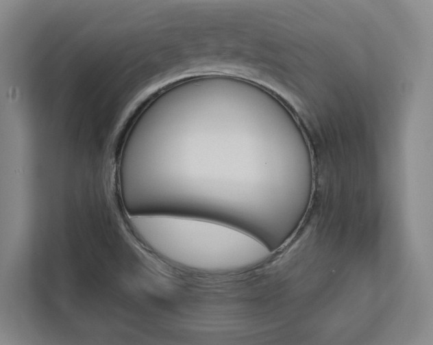 X0000112751507200908201003