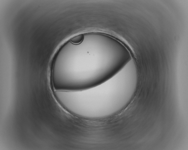X0000112751508200908201003