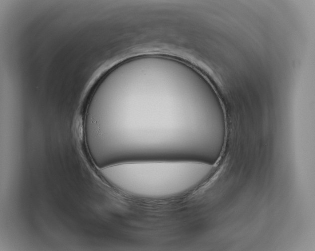 X0000112751509200908201003