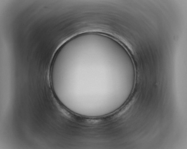 X0000112751513200908201003