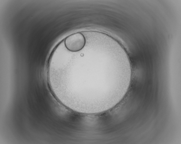 X0000112751514200908201003
