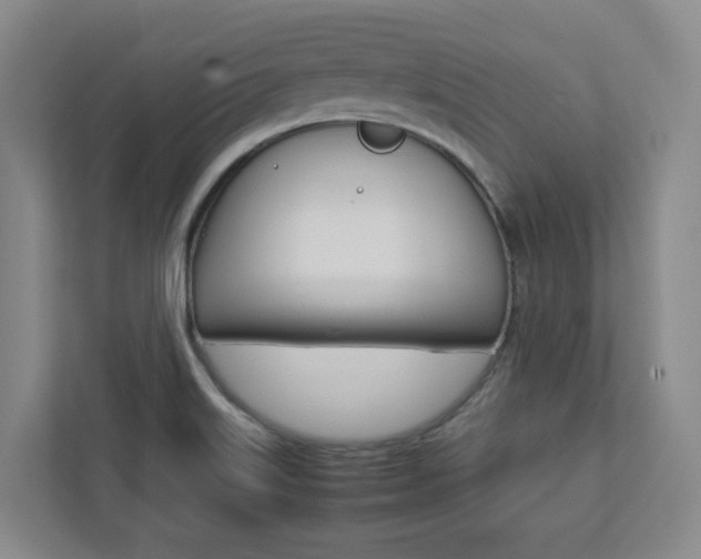 X0000112751515200908201003