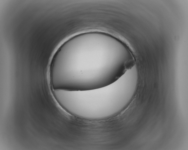 X0000112751516200908201003
