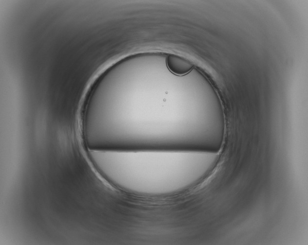 X0000112751517200908201003