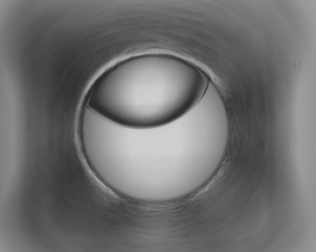 X0000112751518200908201003