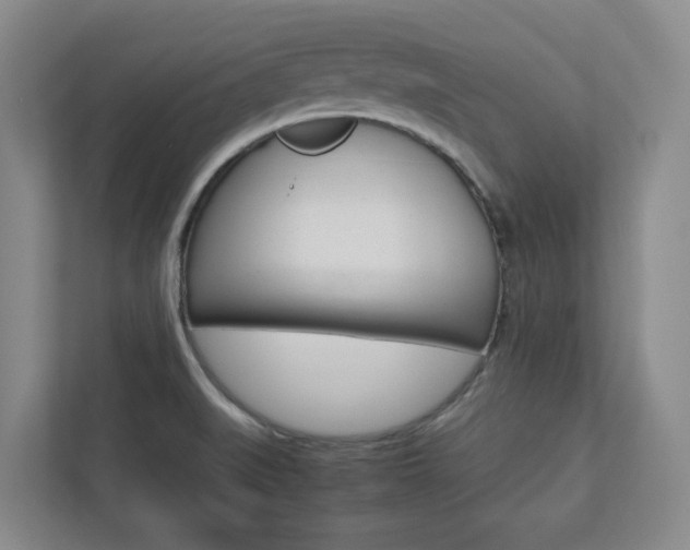 X0000112751519200908201003