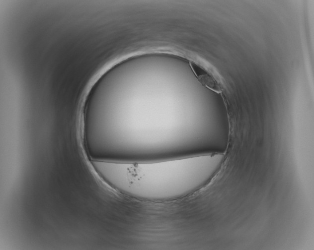 X0000112751520200908201003