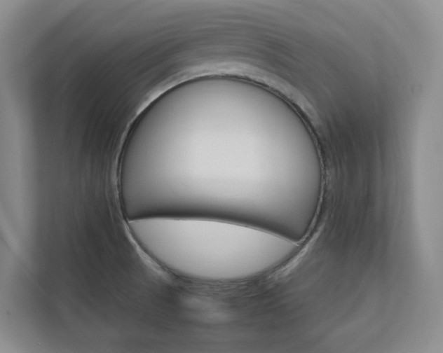 X0000112751521200908201003