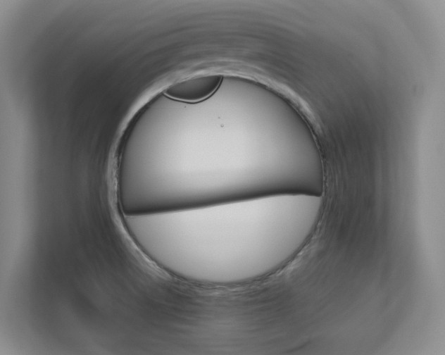 X0000112751522200908201003