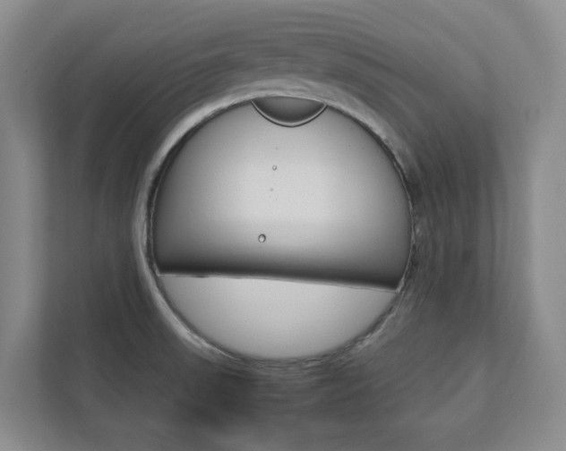 X0000112751523200908201003