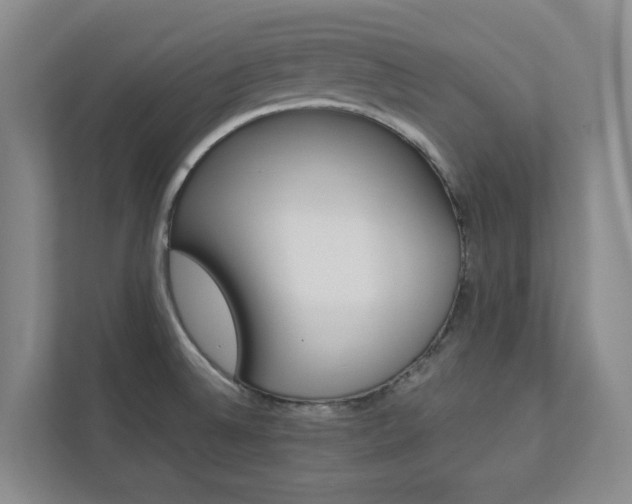 X0000112751524200908201003