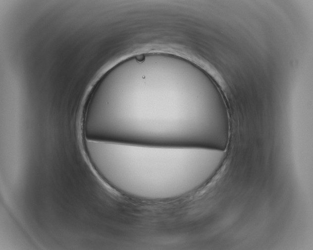X0000112751525200908201003