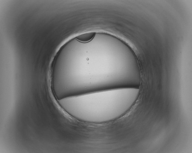 X0000112751526200908201003