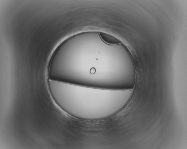 X0000112751527200908201003