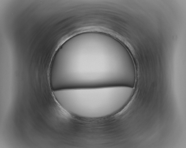 X0000112751529200908201003