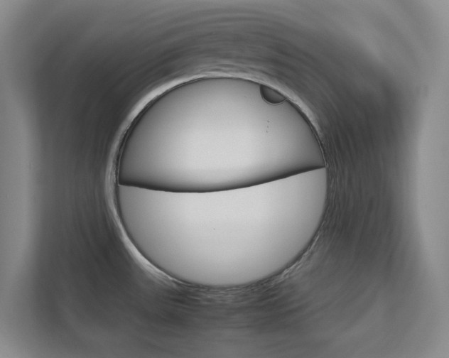 X0000112751531200908201003