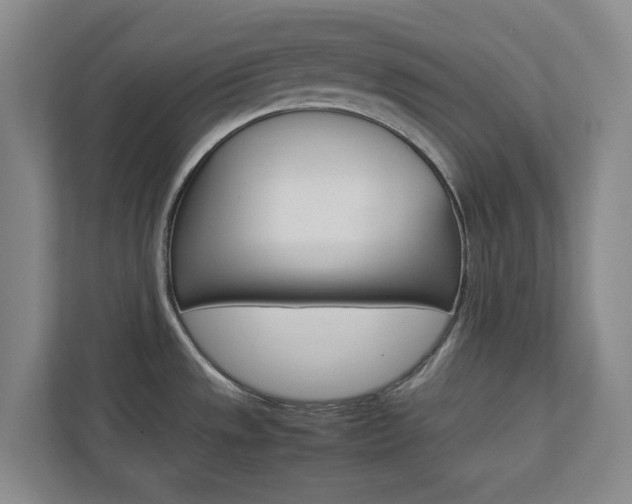 X0000112751533200908201003