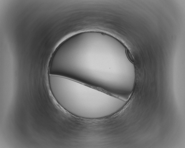 X0000112751534200908201003