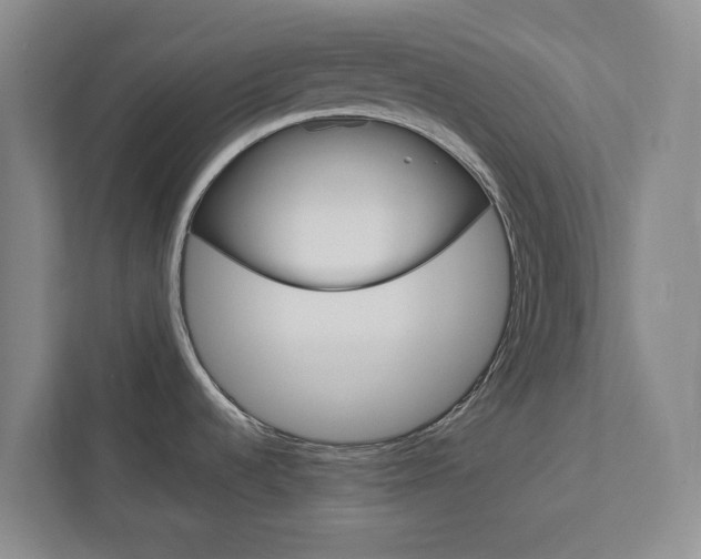 X0000112751536200908201003