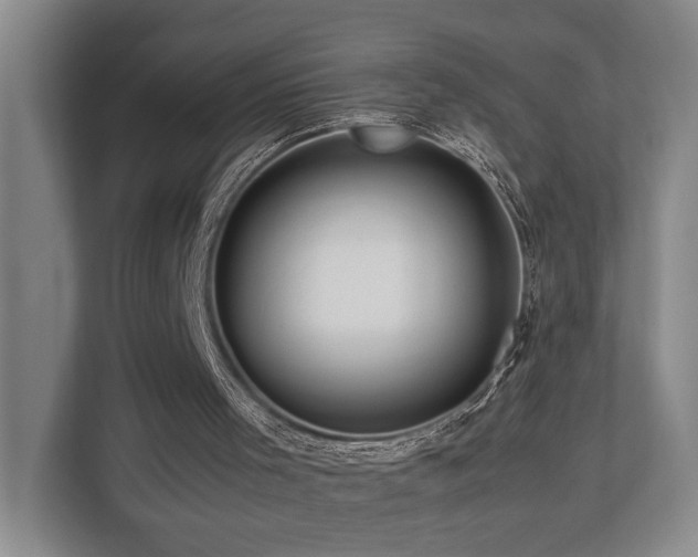 X0000112750001200908201427