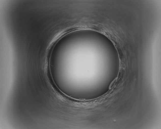 X0000112750005200908201427