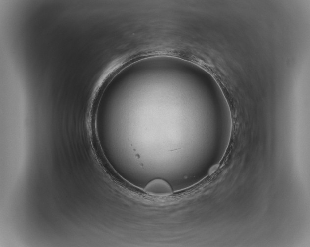 X0000112750006200908201427