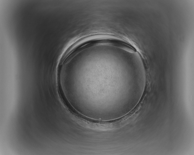 X0000112750008200908201427