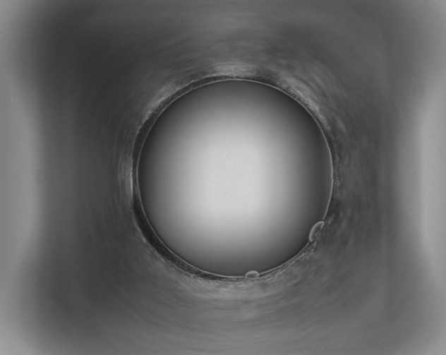 X0000112750011200908201427