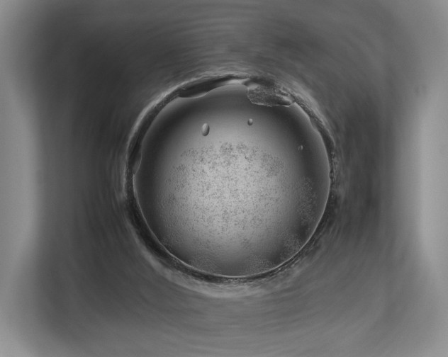 X0000112750012200908201427