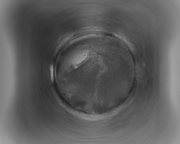 X0000112750014200908201427