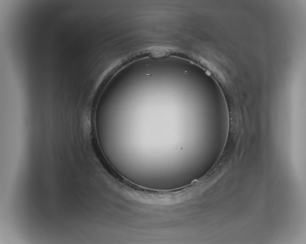 X0000112750015200908201427