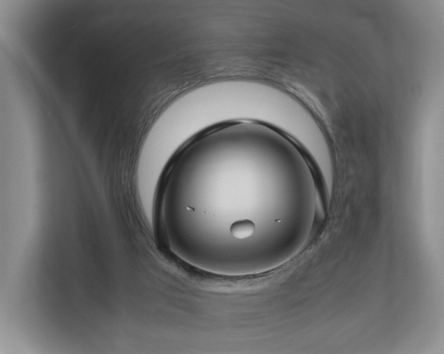 X0000112750017200908201427