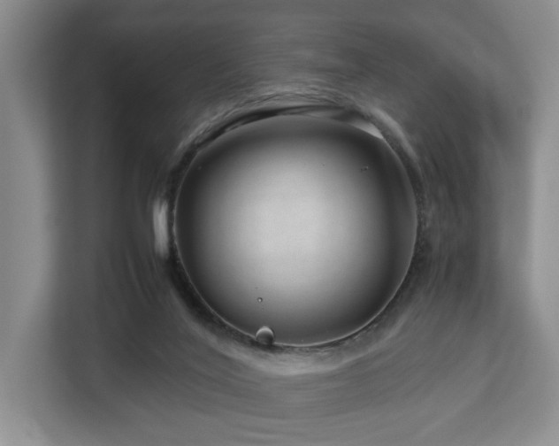 X0000112750020200908201427