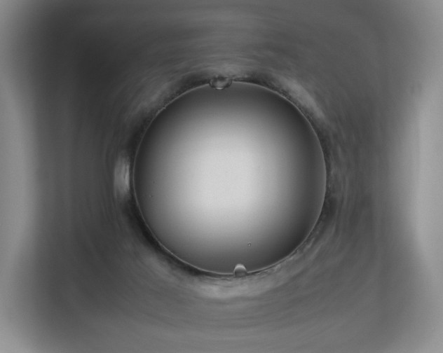 X0000112750021200908201427